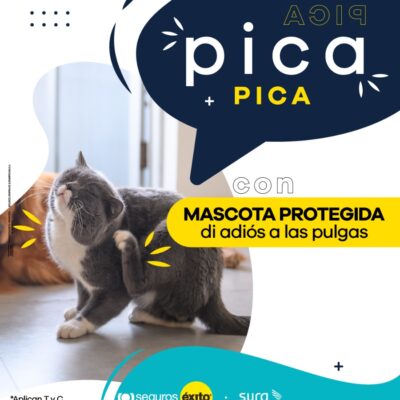 Plan mascota segura