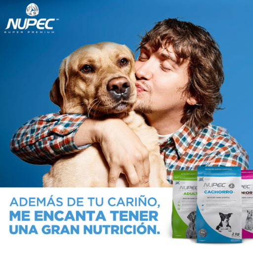 VER PRODUCTOS NUPEC